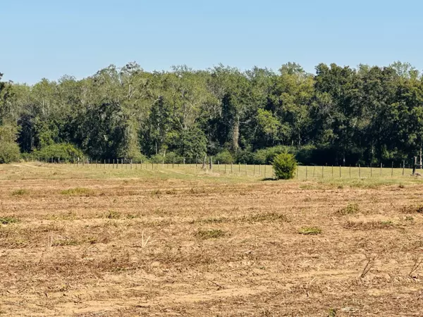 Bonifay, FL 32425,Lot 7 E Highway 2 Highway