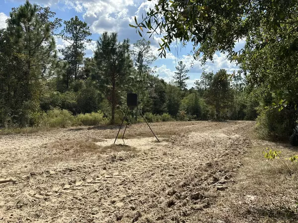 Laurel Hill, FL 32567,A-E New Ebenezer Road