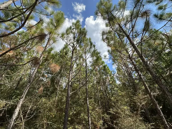 Laurel Hill, FL 32567,A-E New Ebenezer Road