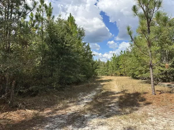 Laurel Hill, FL 32567,A-E New Ebenezer Road