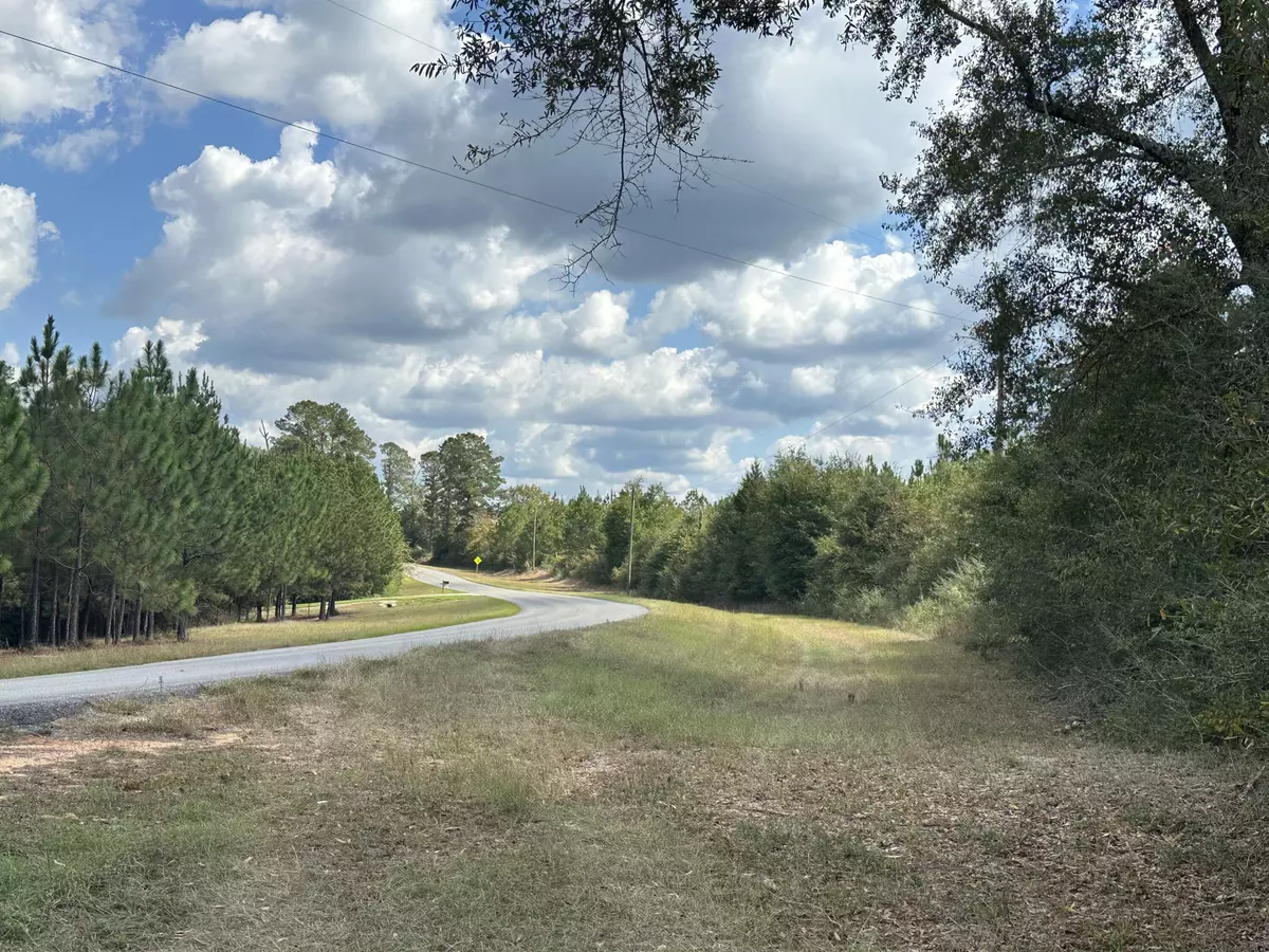 Laurel Hill, FL 32567,A-E New Ebenezer Road