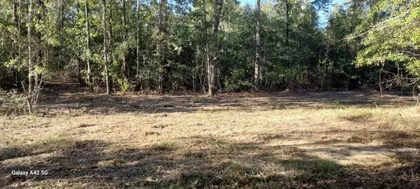 Westville, FL 32464,1480 Clayton Lane