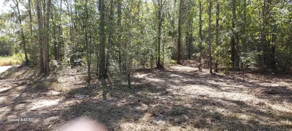 Westville, FL 32464,1480 Clayton Lane