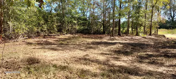 1480 Clayton Lane, Westville, FL 32464