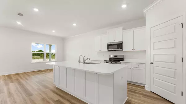 Santa Rosa Beach, FL 32459,183 Holley Grove Lane