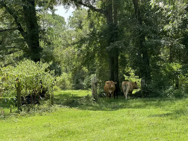 Milton, FL 32570,Lot 6 Bullard Road