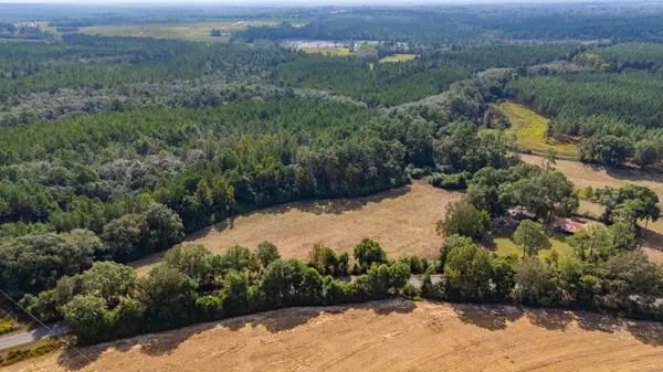 Florala, AL 36442,3 Acre -B Prescott Rd