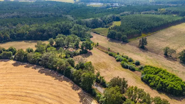 Florala, AL 36442,3 Acre -B Prescott Rd