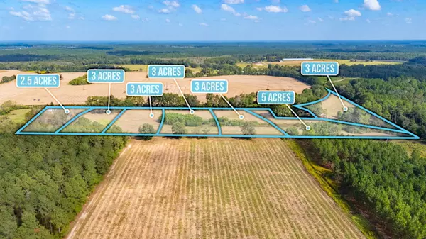 Florala, AL 36442,3 Acre -E Prescott Rd