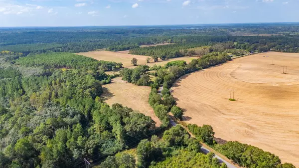 Florala, AL 36442,3 Acre -D Prescott Rd