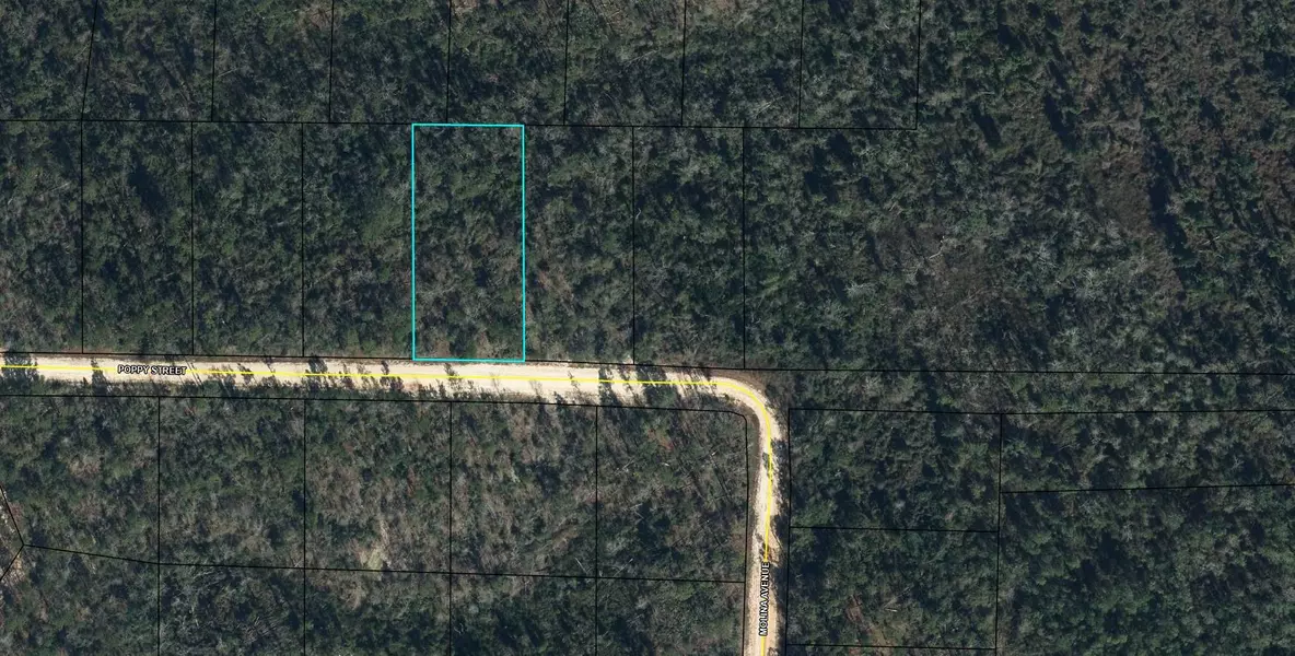Lot 40 POPPY Street, Marianna, FL 32448