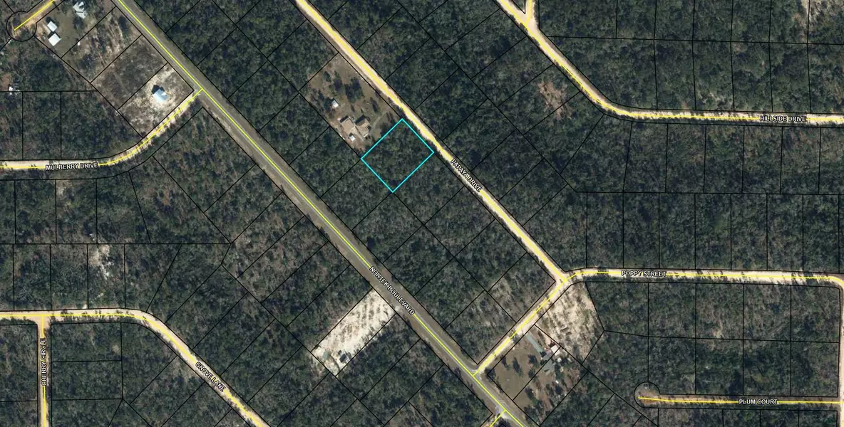 Lot 11 Papaya Street, Marianna, FL 32448