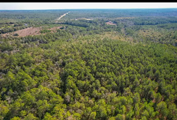 Defuniak Springs, FL 32435,00 Boy Scout Road