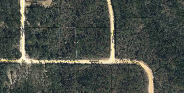 Marianna, FL 32448,Lot 9 Aleo Street