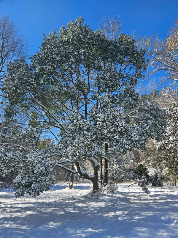 Defuniak Springs, FL 32435,607 Hewett Road