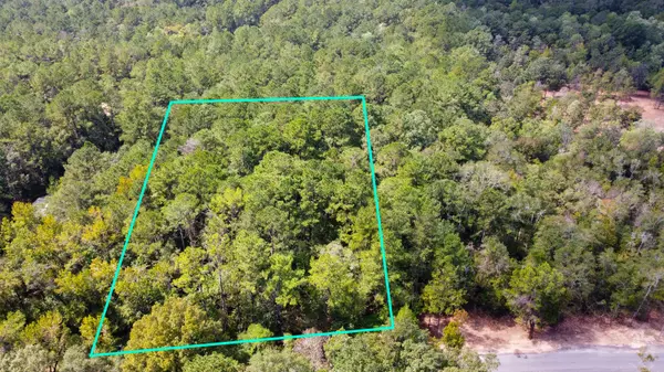 Defuniak Springs, FL 32435,402 Miles Martin Road