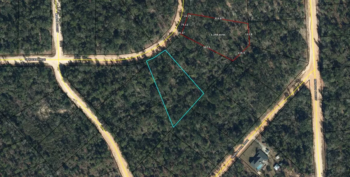 Lot 10 Gardenia Drive, Marianna, FL 32448