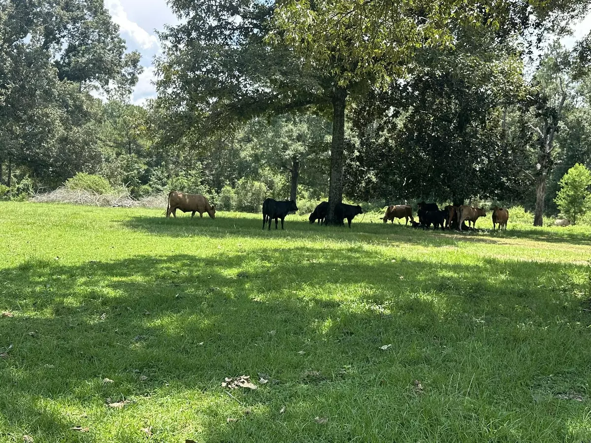 Milton, FL 32570,Lot 4 Bullard Road