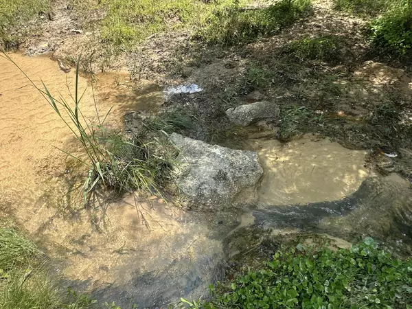 Milton, FL 32570,Lots 4&5 Bullard Road