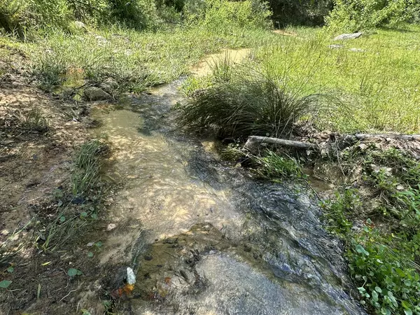 Milton, FL 32570,Lots 4&5 Bullard Road