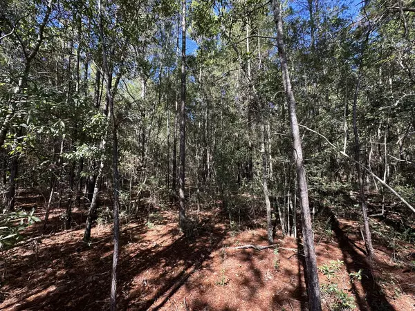 Mossy Head, FL 32434,Parcel HH Pine Cone Trail