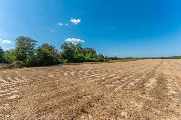 Florala, AL 36442,4.91F Acre McPhail Farm Road
