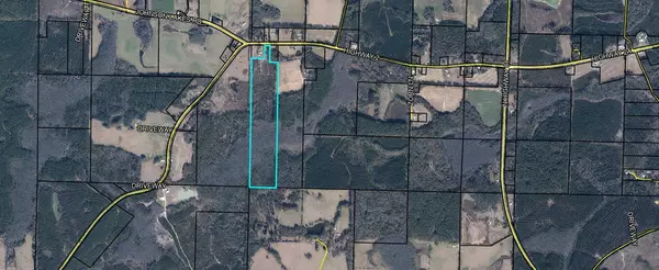 49.52 Ac FL-2, Westville, FL 32464