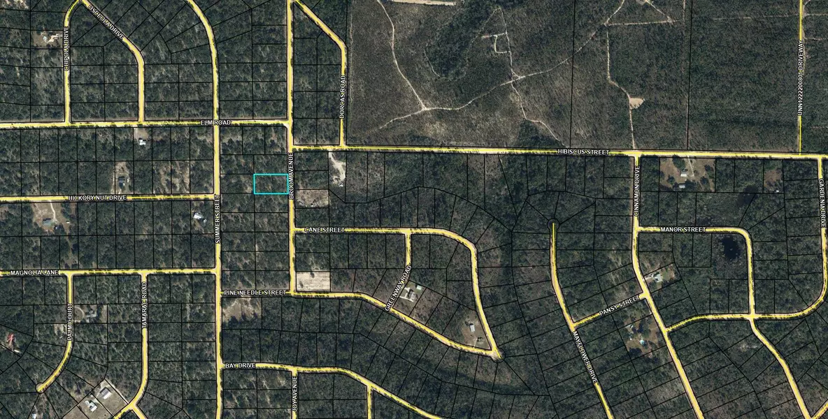 Lot 5 Broom Avenue, Marianna, FL 32448