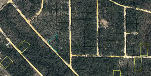 Lot 10 Hillside Drive, Marianna, FL 32448