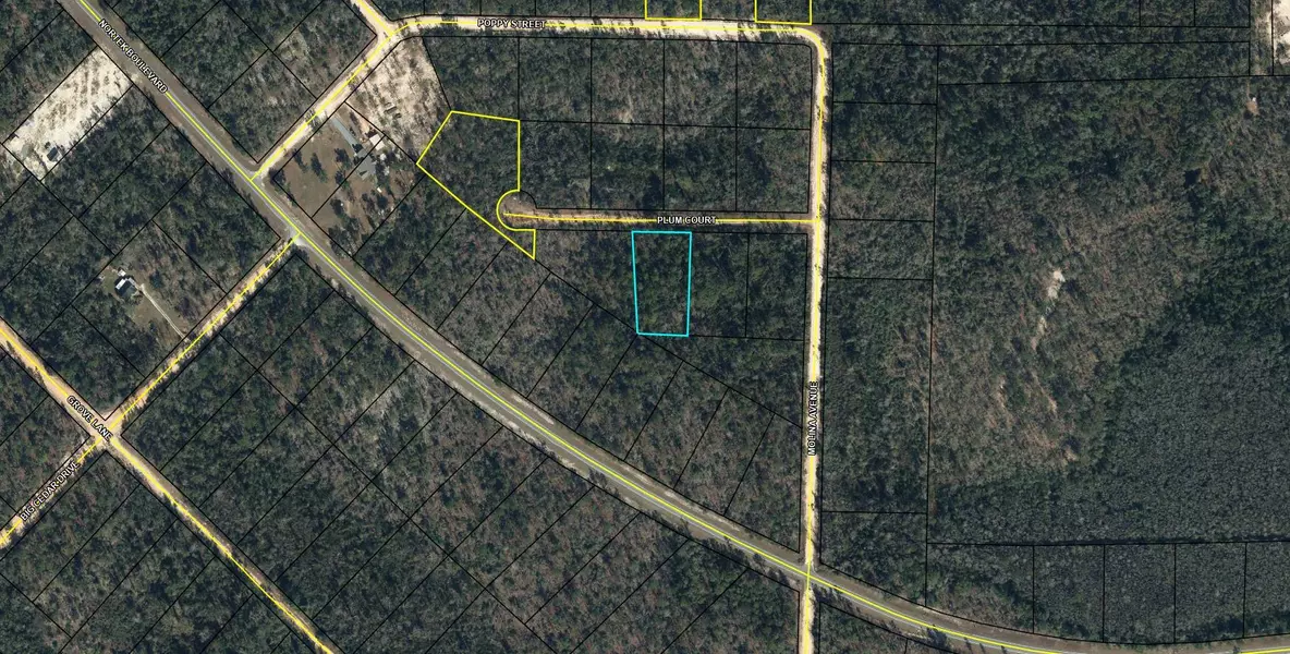 Lot 21 Plum Court, Marianna, FL 32448