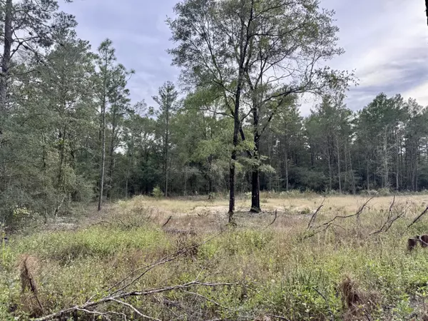Defuniak Springs, FL 32433,Lot 23 E Dogwood Avenue