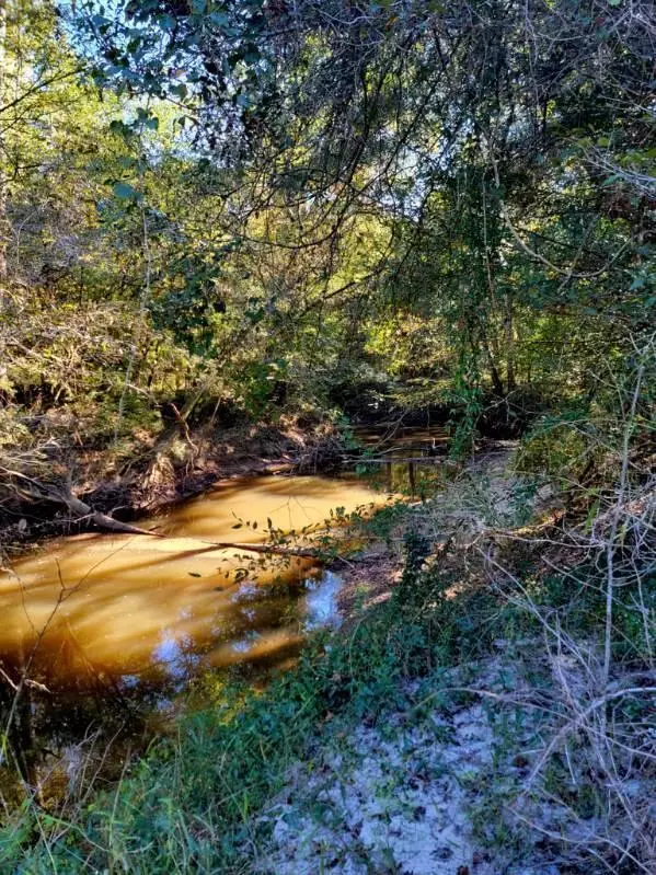 Ponce De Leon, FL 32455,19 acres Walton Bridge Road