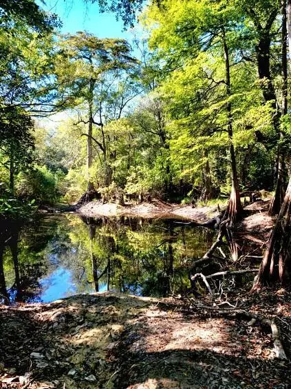 Ponce De Leon, FL 32455,19 acres Walton Bridge Road