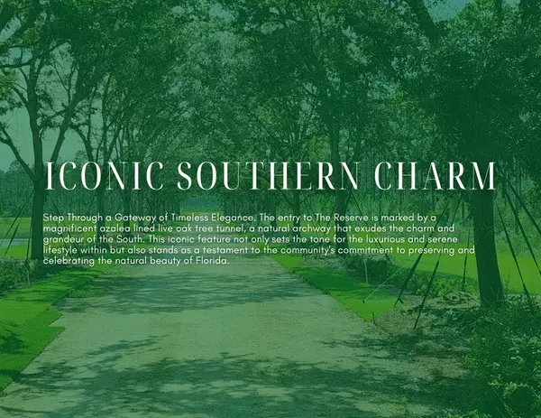 Freeport, FL 32439,Lot 39 Reserve At Hammock Bay