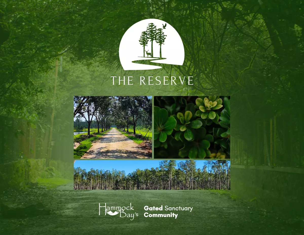 Freeport, FL 32439,Lot 27 Reserve At Hammock Bay