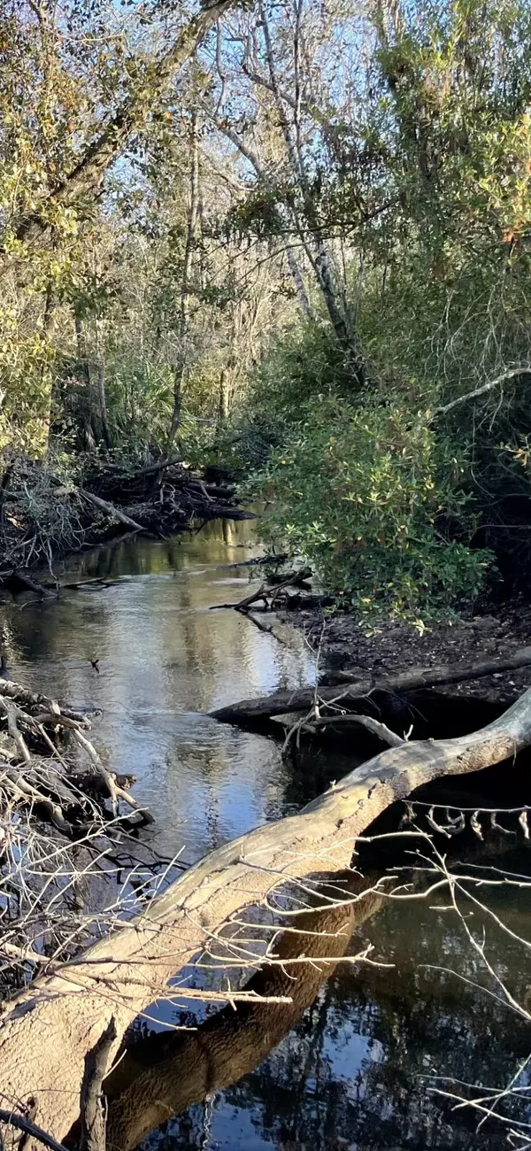 Panama City, FL 32404,11036 Dartmouth Place