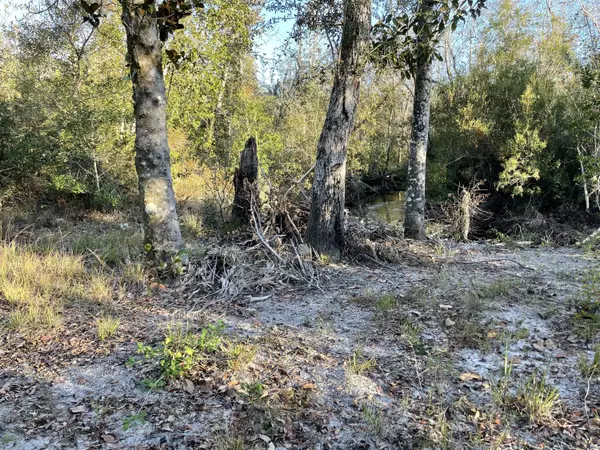 Panama City, FL 32404,11036 Dartmouth Place