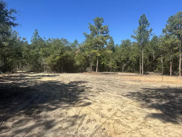 Defuniak Springs, FL 32435,2 acres S County Highway 183