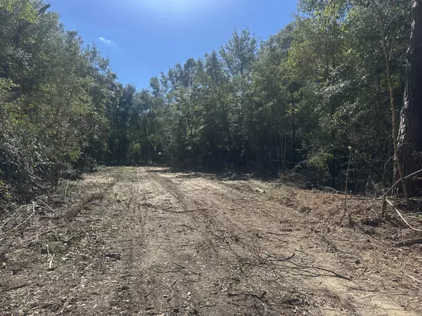 Defuniak Springs, FL 32435,2 acres S County Highway 183