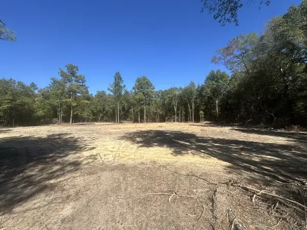 Defuniak Springs, FL 32435,2 acres S County Highway 183