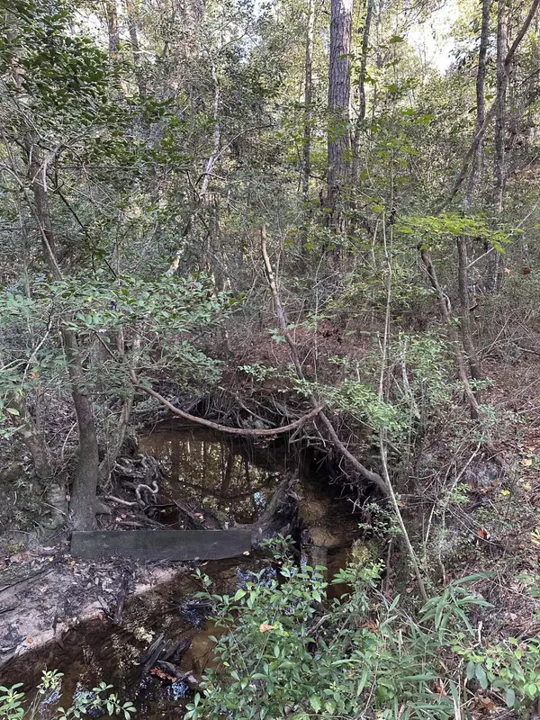 Defuniak Springs, FL 32435,20.25 Strickland Road