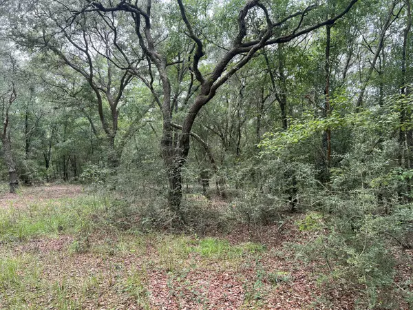 Holt, FL 32564,XXXX Lonesome Pine Street Street