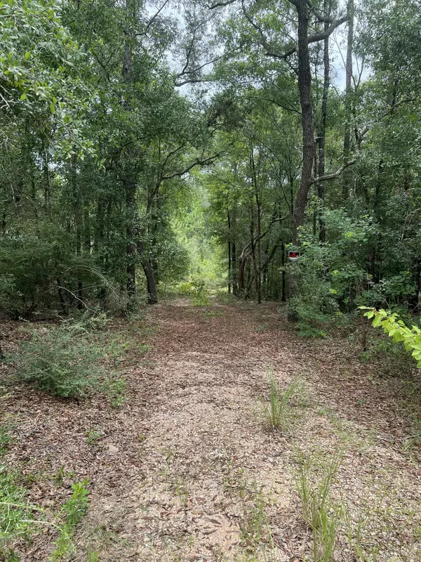 Holt, FL 32564,XXXX Lonesome Pine Street Street