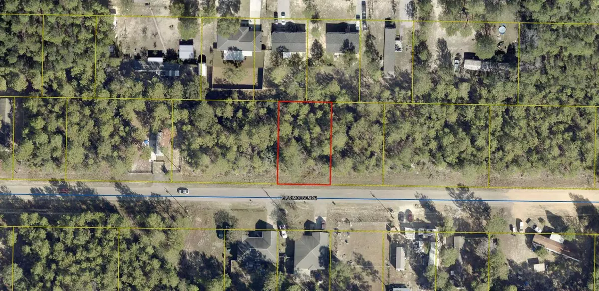 Defuniak Springs, FL 32433,TBD E Primrose Avenue