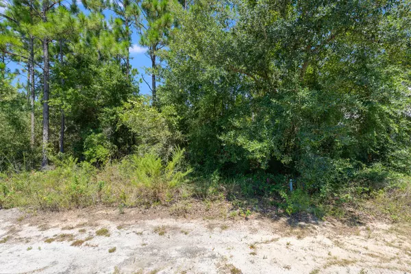 Freeport, FL 32439,53 Sun Bear Circle