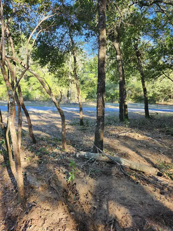 Chipley, FL 32428,Lot 37 Diane Place