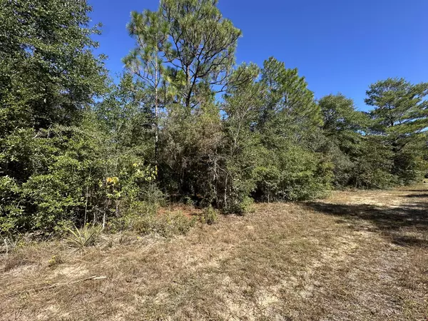 Crestview, FL 32539,Parcel B Bear Head Road