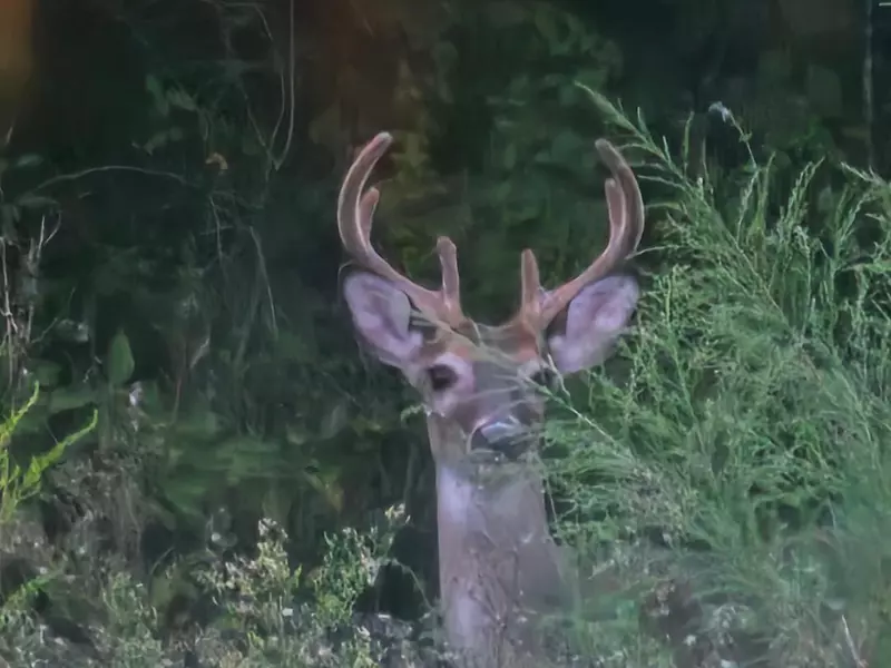 2386 Hwy 179A, Westville, FL 32464