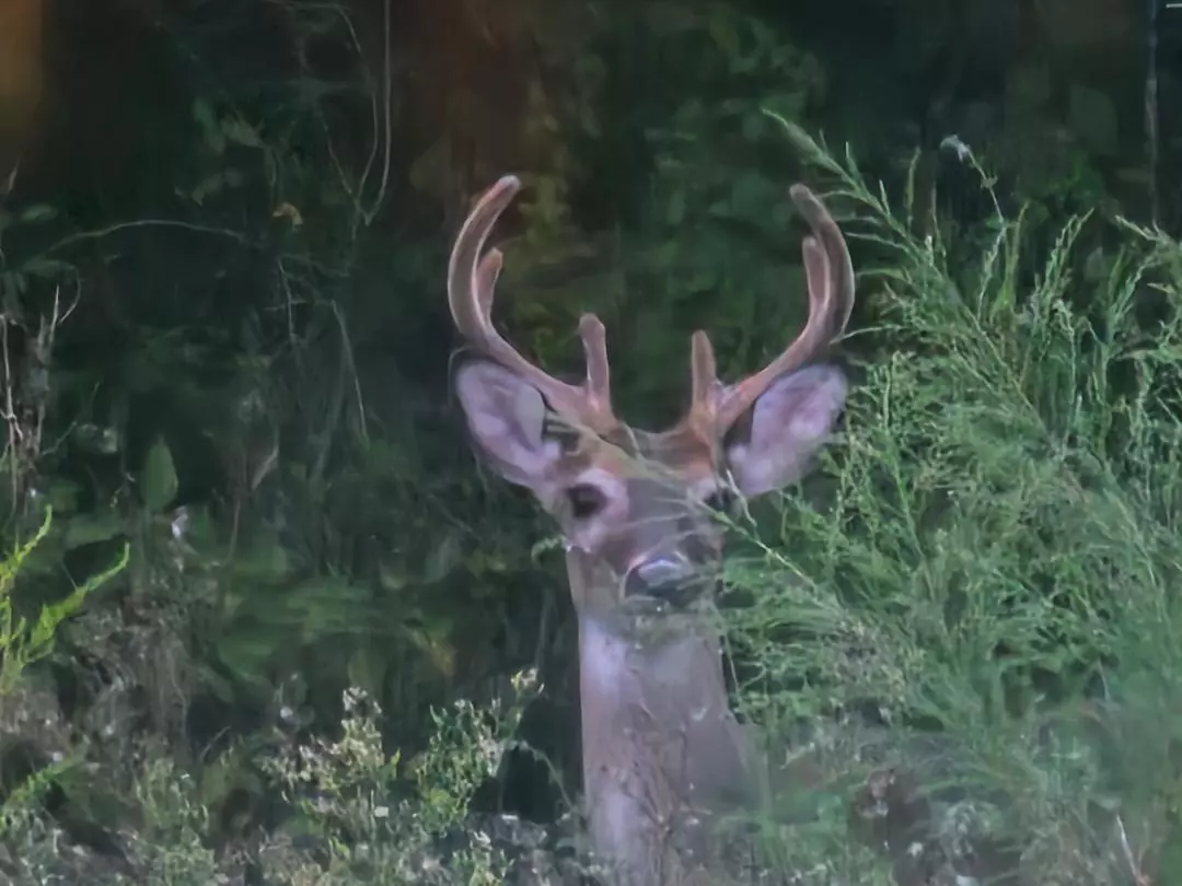 Westville, FL 32464,2386 Hwy 179A