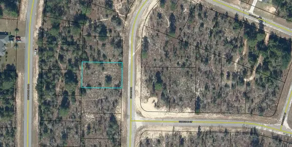 Chipley, FL 32428,LOT 18 FALCON Drive